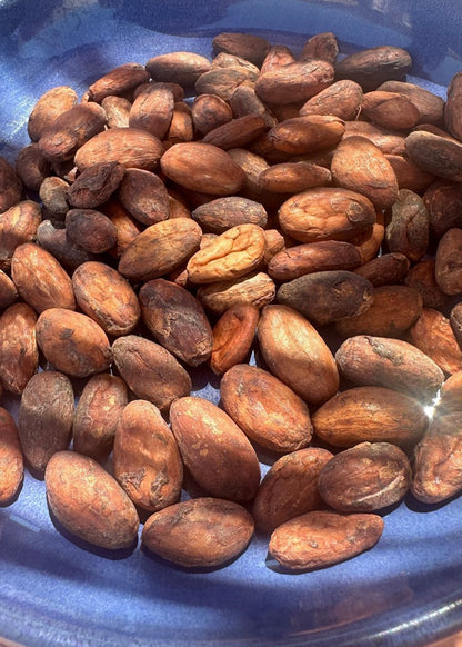 Cacao Beans Raw Organic