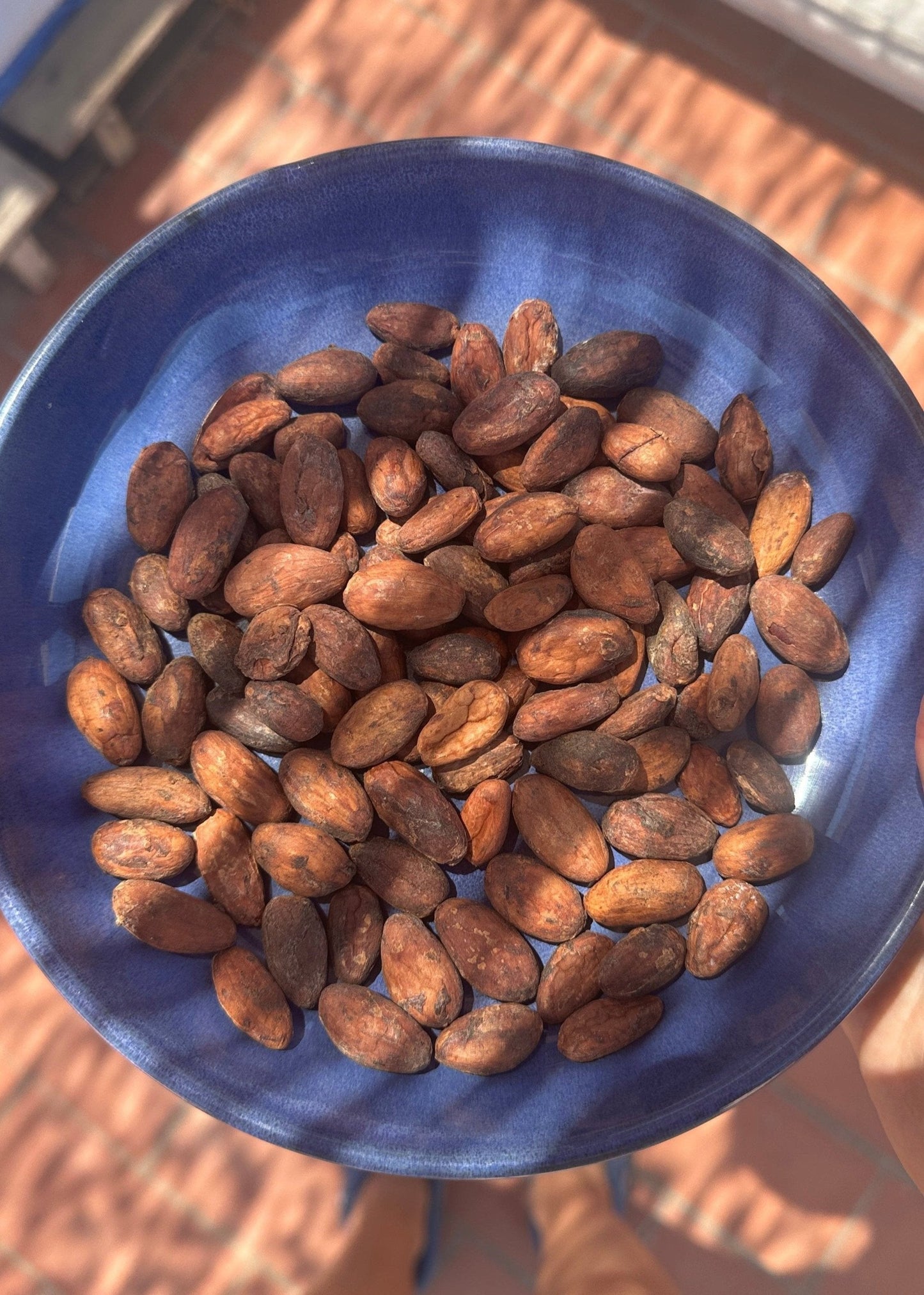 Cacao Beans Raw Organic